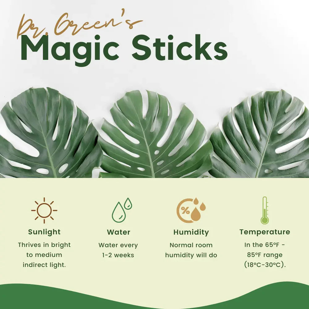 Magic Plant Grow Fertilizer Sticks (Buy 25 Sticks Get 25 Sticks Free)