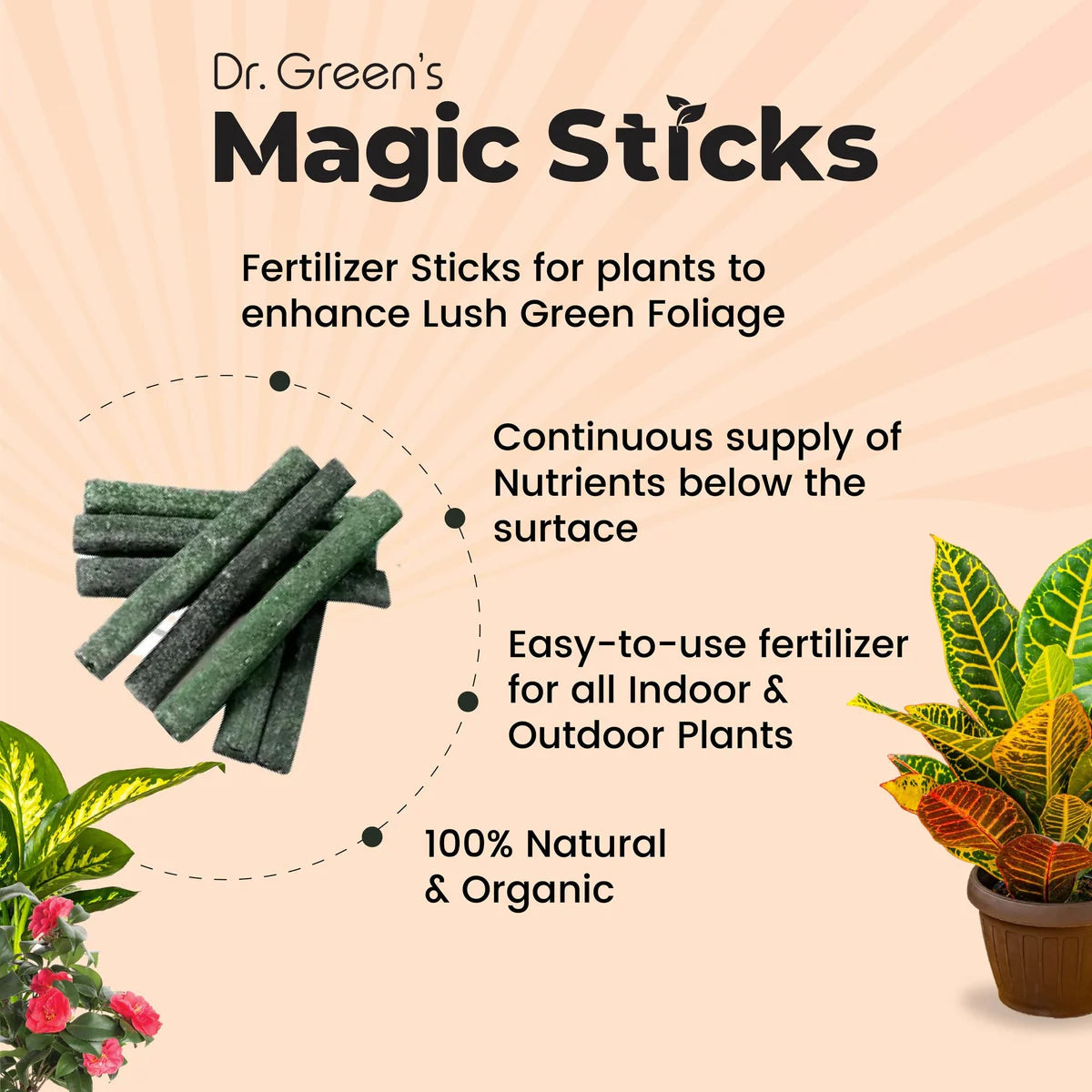 Magic Plant Grow Fertilizer Sticks (Buy 25 Sticks Get 25 Sticks Free)