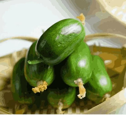 Jade Lady Cucumber Seeds