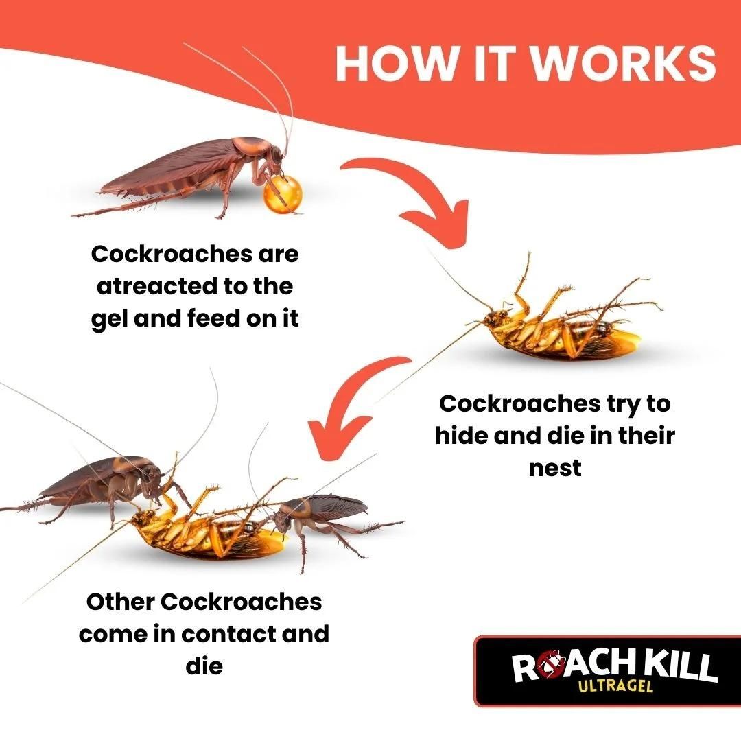 Anti Cockroach Gel