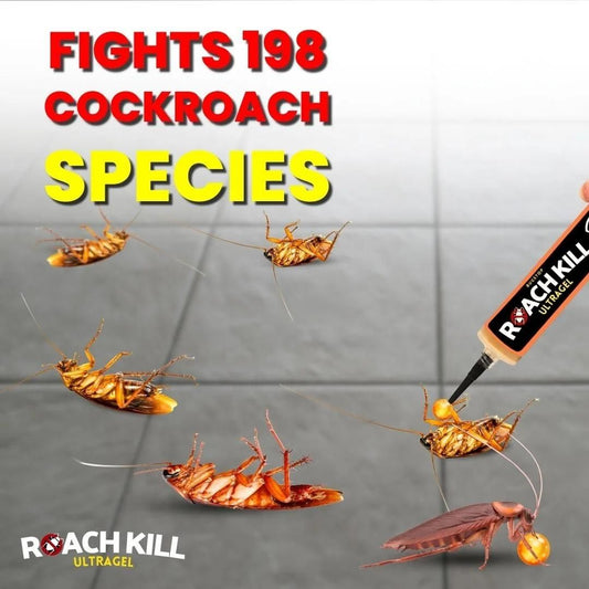 Anti Cockroach Gel