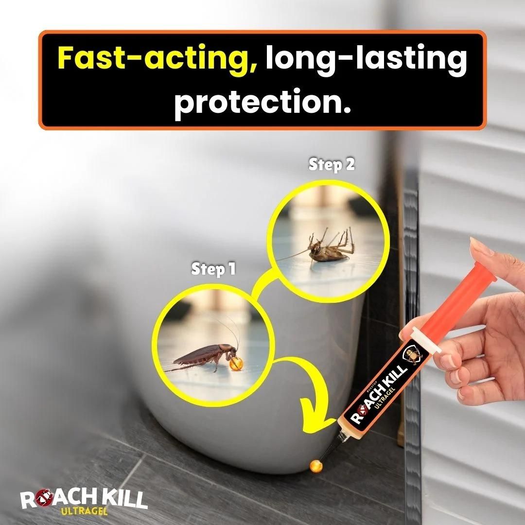 Anti Cockroach Gel