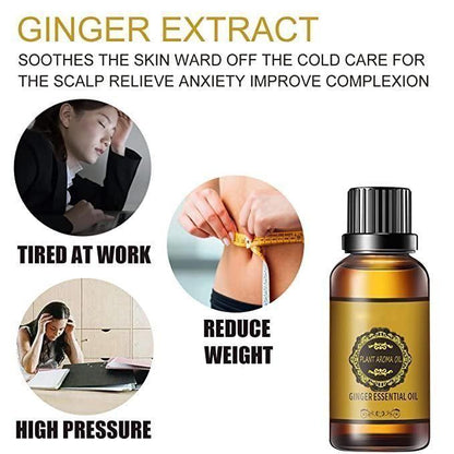 BELLY GINGER OIL