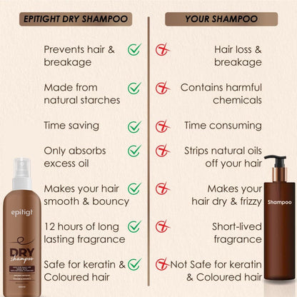 Epitigt Dry Shampoo (Buy 1 Get 1 Free)