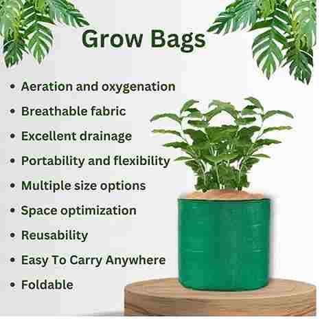 Organic Mix Vegetables Seeds With 5 Grow Bags