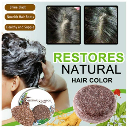 Organic Grey Reverse Shampoo Bar-Natural Organic Conditioner (Buy 1 Get 1 Free)