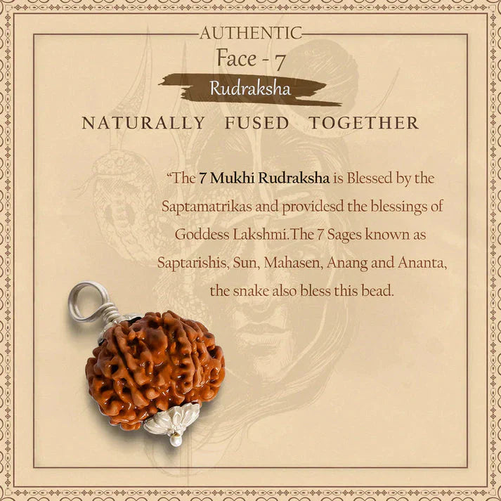 Pure 7 Mukhi Silver Capped Rudraksha Pendant with Thread