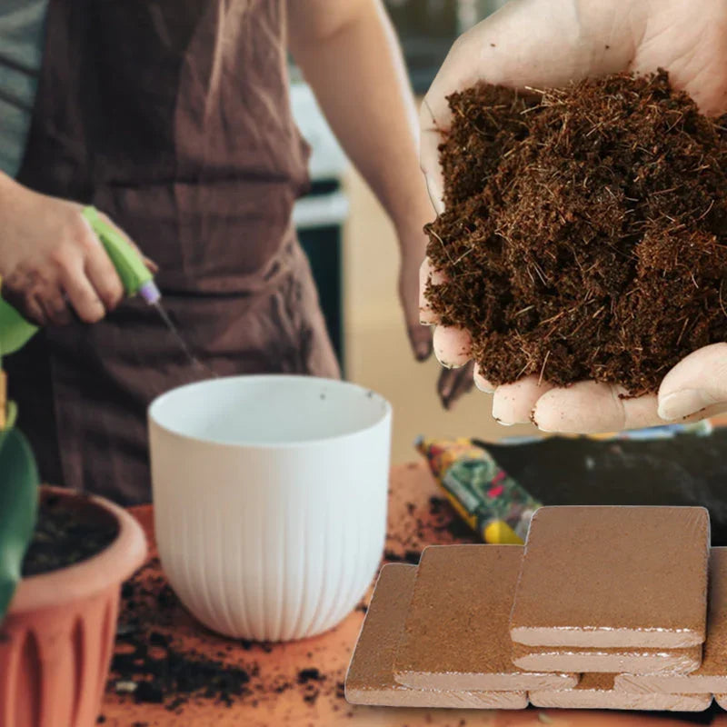 Organic Coco Coir Brick - Potting Soil Mix for Plants