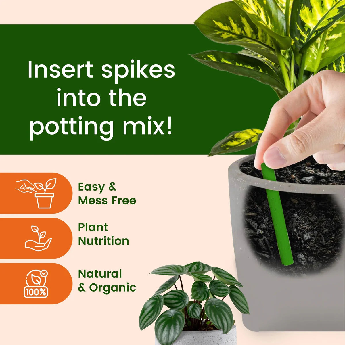 Magic Plant Grow Fertilizer Sticks (Buy 25 Sticks Get 25 Sticks Free)