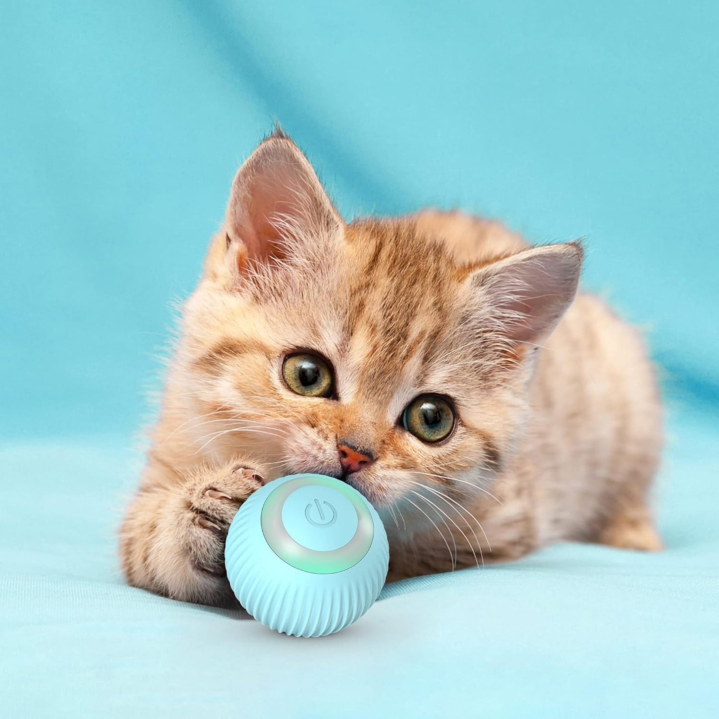 Rotating Cat Toy Ball