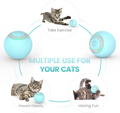 Rotating Cat Toy Ball