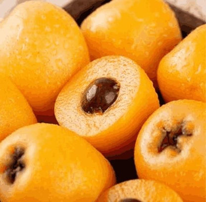 Delicious Five-star Loquat Seeds