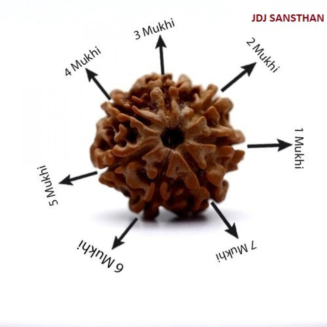 Pure 7 Mukhi Silver Capped Rudraksha Pendant with Thread