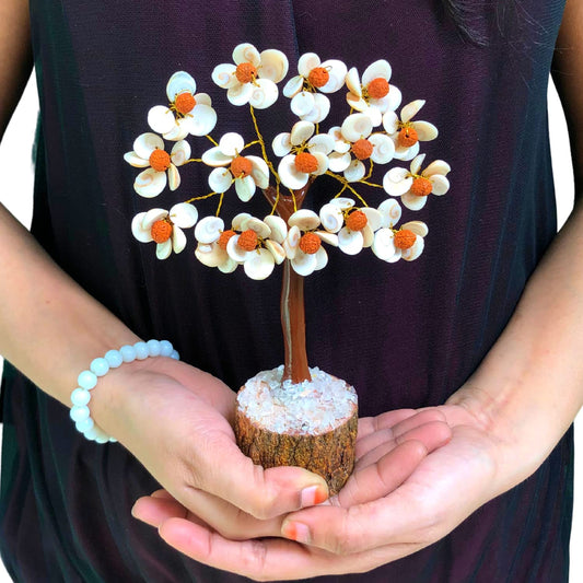 Gomati Chakra Tree with Rudraksham