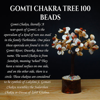 Gomati Chakra Tree with Rudraksham