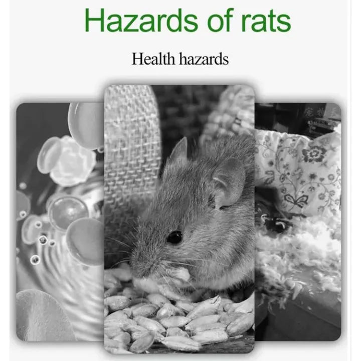 Rat, Lizard & Insect Repellent - Advanced Formula