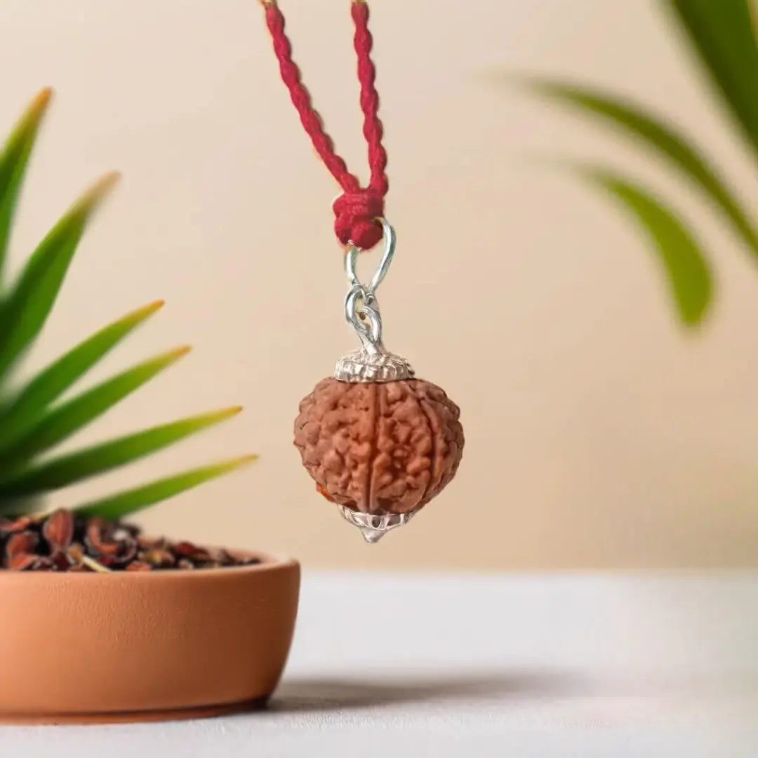 Pure 7 Mukhi Silver Capped Rudraksha Pendant with Thread